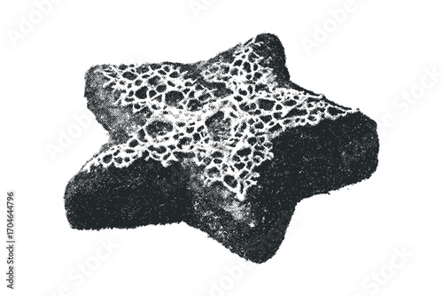 Starfish object with textured surface on transparent. Vector hand drawn illustration