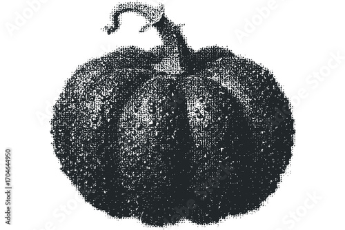 Monochromatic textured pumpkin with transparent background for fall graphics. Vector hand drawn illustration