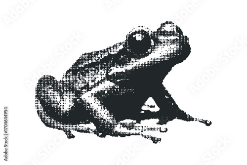 Halftone Frog. Vector hand drawn illustration