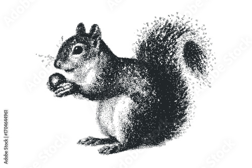 Small squirrel with nut on transparent background. Vector hand drawn illustration