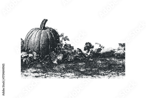 Stippled pumpkin with vine on grassy ground. Vector hand drawn illustration
