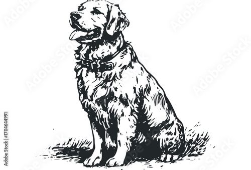 Sitting Golden Retriever Dog Pen Sketch on Transparent. Vector hand drawn illustration