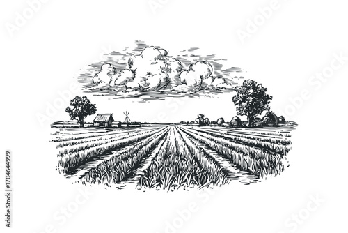 Rural farmland with crops, trees, and farmhouse on transparent background,. Vector hand drawn illustration