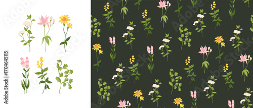 Medicinal herbs seamless pattern. Herbal trendy boundless ayurveda background. Herbs and flowers endless design for paper print, fabric textile, wrapper backdrop template vector illustration