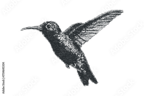 Monochromatic Pointillism Hummingbird in Mid-Flight. Vector hand drawn illustration
