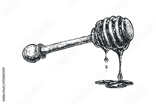Ink drawing of honey dipper with dripping sweet liquid. Vector hand drawn illustration