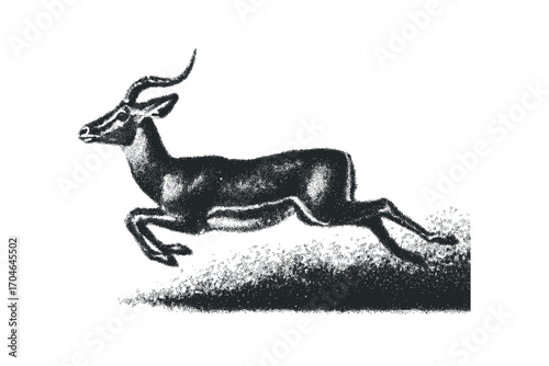 Gazelle leaping across dry grass in a dotwork style. Vector hand drawn illustration