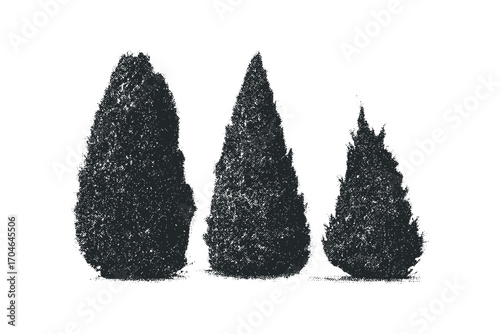 Three evergreen trees varying in size. Vector hand drawn illustration