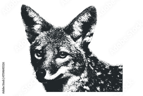 Textured Portrait of a Coyote Face on Transparent Background. Vector hand drawn illustration