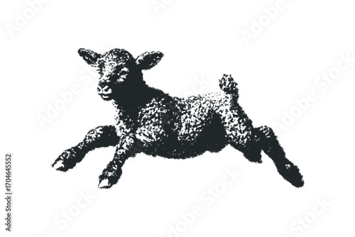 Small fluffy lamb leaping joyfully on transparent background. Vector hand drawn illustration