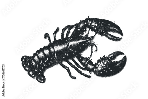 Halftone texture black lobster image. Vector hand drawn illustration