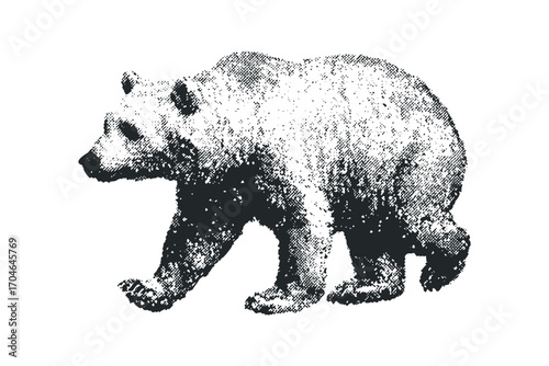 Bear walking profile in stipple effect on transparent background. Vector hand drawn illustration