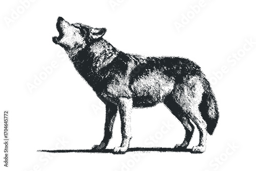 Wolf howling on transparent. Vector hand drawn illustration