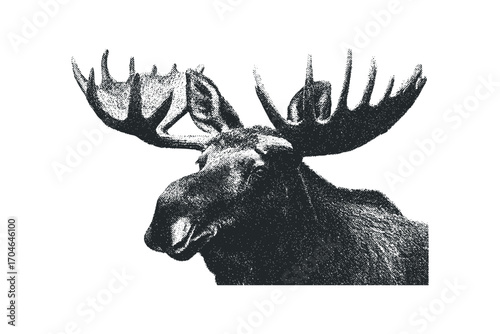 Monochromatic Moose Head Clip Art With Large Antlers. Vector hand drawn illustration