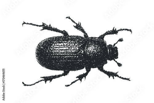 Sketchy Insect Silhouette, Grunge Beetle, Isolated Vector. Vector hand drawn illustration