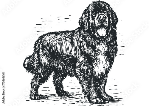 Large black dog standing with tongue out, monochrome sketch. Vector hand drawn illustration