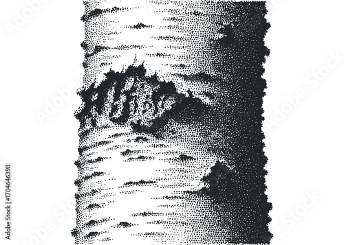 Textured bark of a tree with stippling effect on transparent background. Vector hand drawn illustration