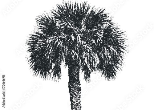 Stippled Palm Tree Silhouette on Transparent Background. Vector hand drawn illustration