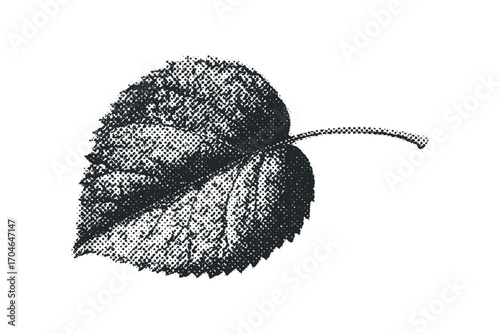 Halftone textured solitary leaf image on transparent background. Vector hand drawn illustration