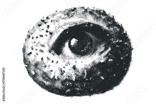Halftone Textured Eye Symbol Image on Transparent Background. Vector hand drawn illustration