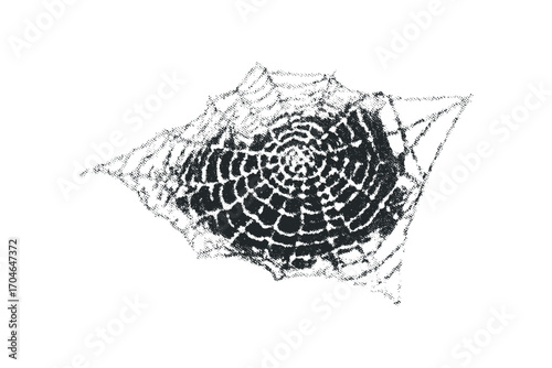 Textured spider web net on transparent background. Vector hand drawn illustration