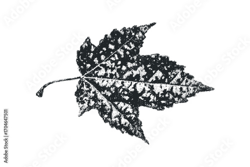Textured black leaf shape on transparent background. Vector hand drawn illustration