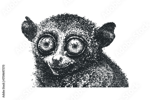 Tarsier primate with large eyes, halftoned texture,. Vector hand drawn illustration