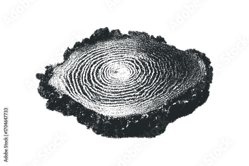 Tree Ring Cross Section with Textured Bark Detail. Vector hand drawn illustration