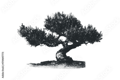 Textured bonsai tree with twisted trunk in black and white,. Vector hand drawn illustration
