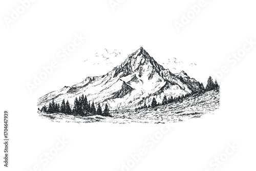 Detailed hand-drawn mountain range with pine trees and snowy peaks. Vector hand drawn illustration