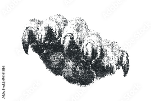 Halftone textured eagle talon grasping unseen prey. Vector hand drawn illustration