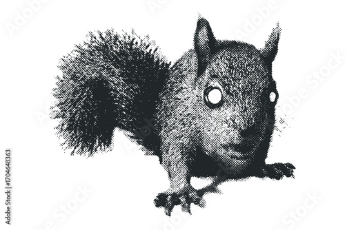 Halftone Textured Squirrel Isolated on White. Vector hand drawn illustration