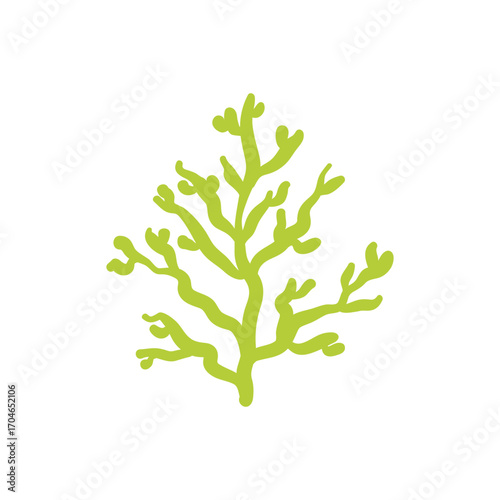 Seaweed logo EPS template icons vector illustration transparent background