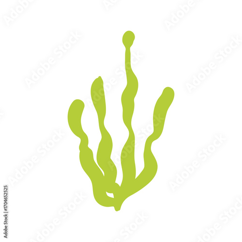Seaweed logo EPS template icons vector illustration transparent background