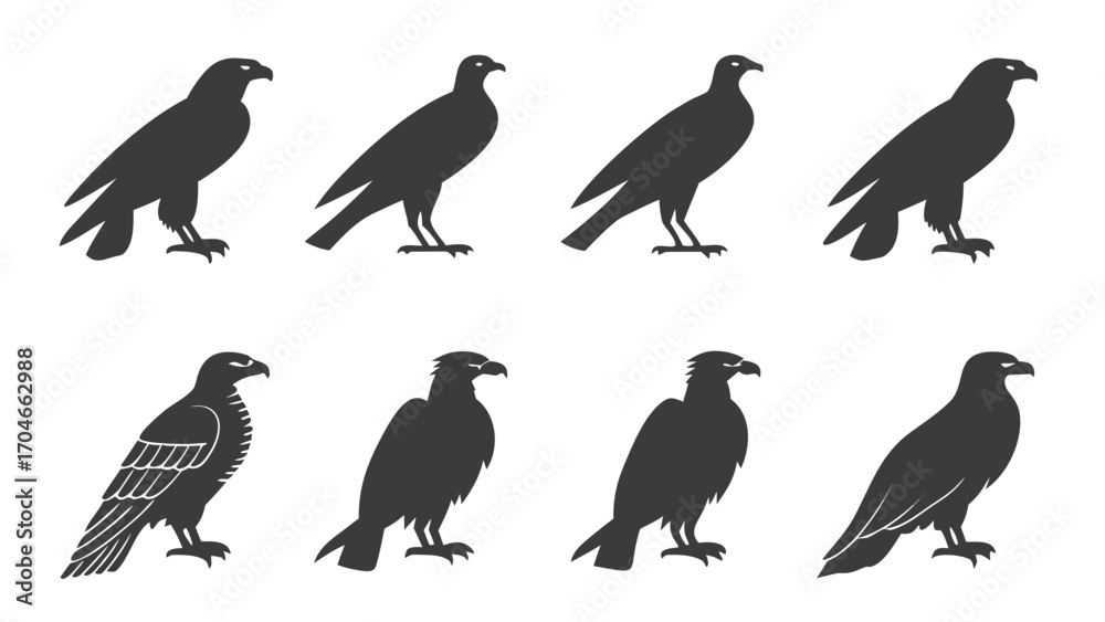 Obraz premium Eagle and Hawk Silhouettes in Various Poses bird of prey
