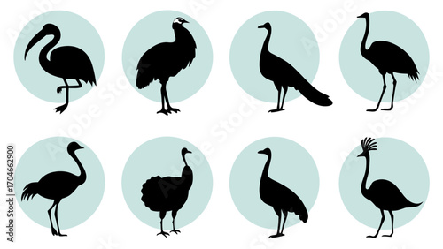 Collection of bird silhouettes in light blue circles on black