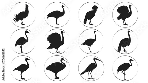 Grid of bird silhouettes in dark circles on black background