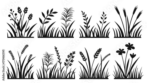 Grass and Plant Silhouettes Collection plants nature