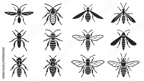 Silhouette Collection of Insects and Flying Creatures