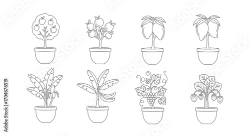 A collection of stylized potted fruit trees and plants, presented in a simple, outlined illustration.