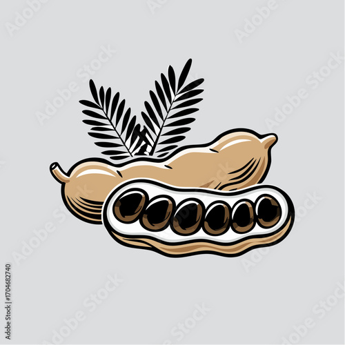 Vector art of the exotic tamarind fruit, showcasing the pod, pulp, and seeds. A tropical ingredient used in culinary and traditional medicine
