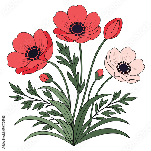 Vivid anemone blooms and verdant foliage create a striking arrangement against a transparent backdrop