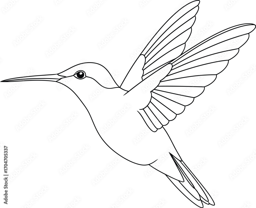 Obraz premium Elegant hummingbird in flight, a delicate creature captured mid-air with wings outstretched.