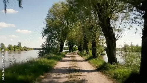 Scenic country road lined with trees beside river bank