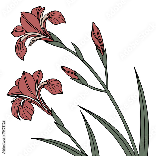 seamless pattern with dutch iris red ember