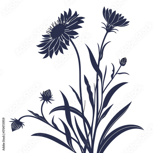 black and white blanket gaillardia dakota reveille
