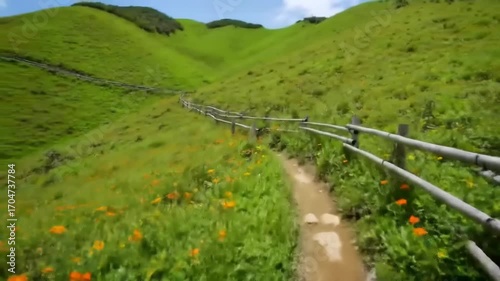 Scenic hiking trail through lush meadow