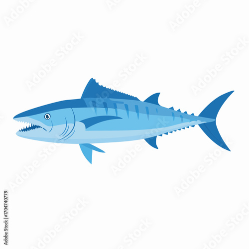 Barracuda Swimming Illustration in Flat Vector Marine Fish Design
