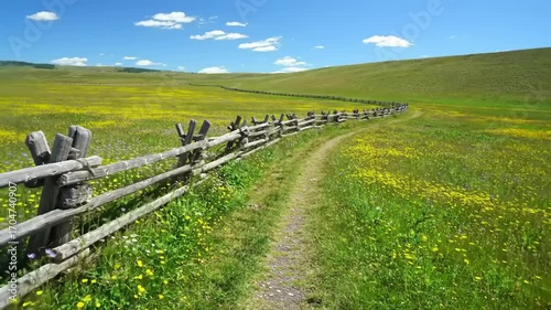 Scenic meadow with wooden fence and path leading into the distance