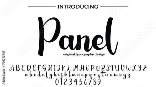 Panel - Elegant Script Font for Smooth Handwritten Design and Creative Typography